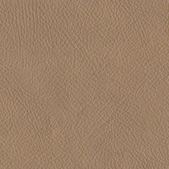 38006/46/49/55 : 38006S4