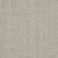 A1001096T