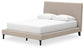 Cielden Queen Upholstered Bed with Roll Slats, Dresser, Mirror and Nightstand