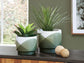 Ardenridge Planter Set (2/CN)