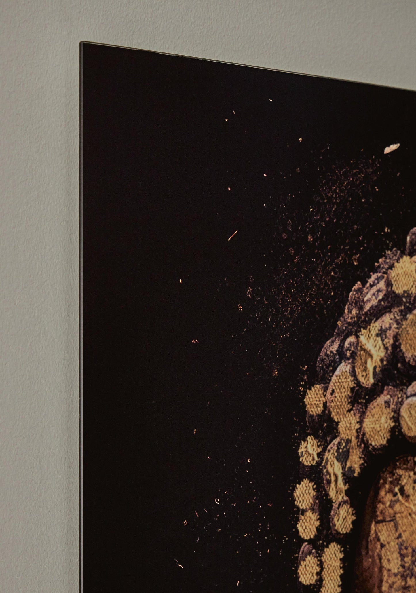 Caymoore Wall Art