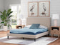 M20431