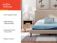 M20431