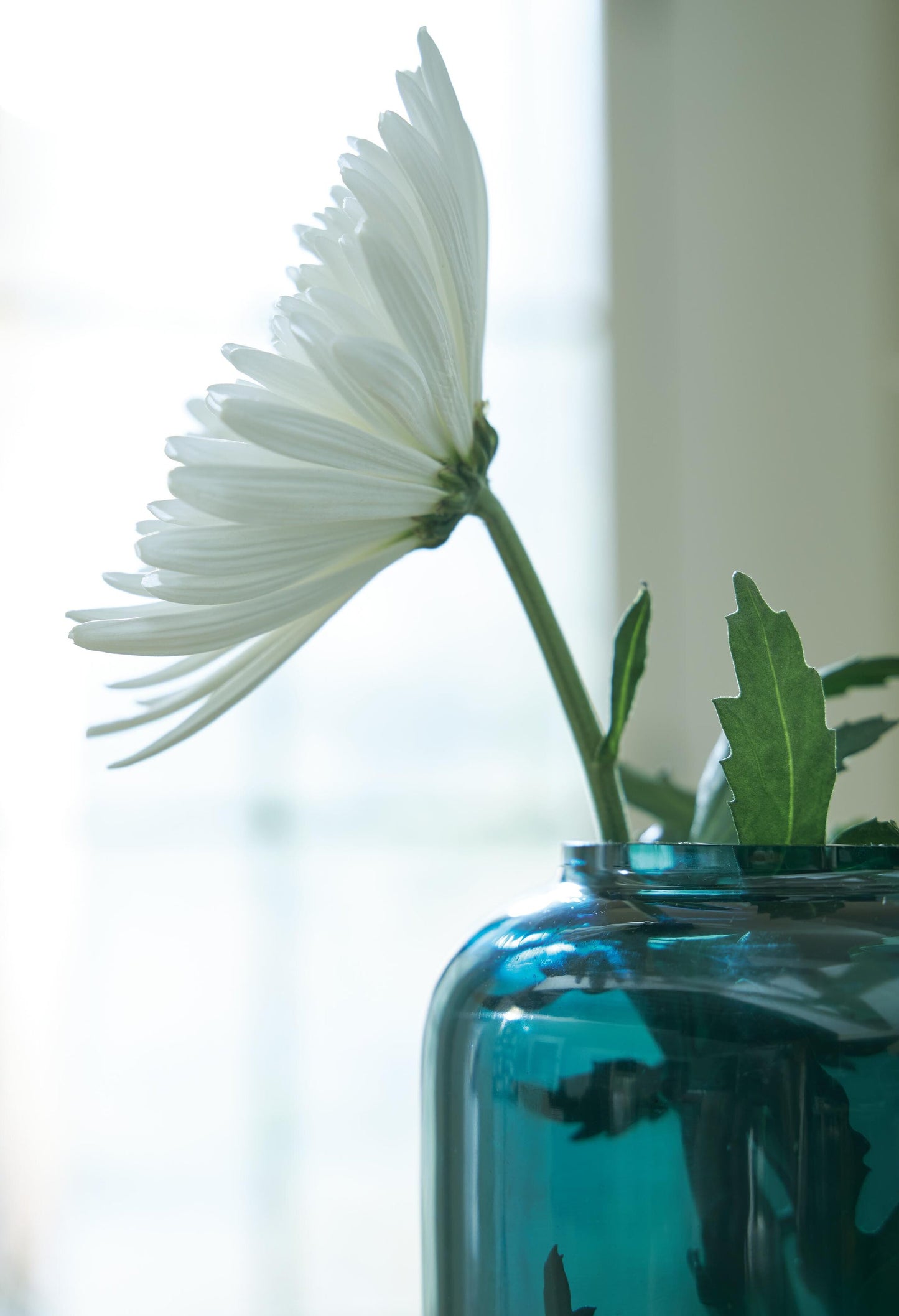 Inisland Vase