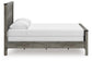Frandern Queen Panel Bed