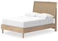 Cielden Full Panel Bed with Mirrored Dresser and Nightstand