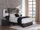 Parlayon Queen Panel Storage Bed, Dresser, Mirror and Nightstand